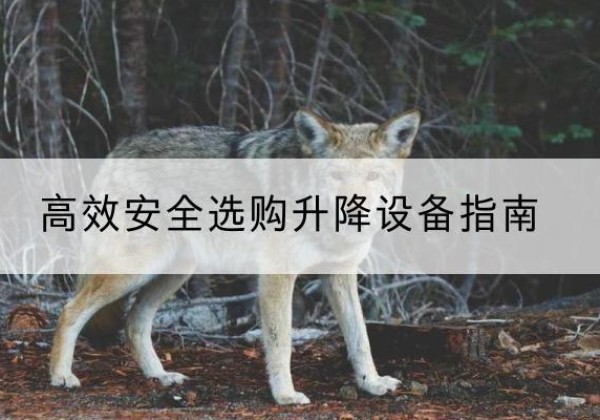 绥江升降货梯厂家推荐-*安全选购升降设备指南