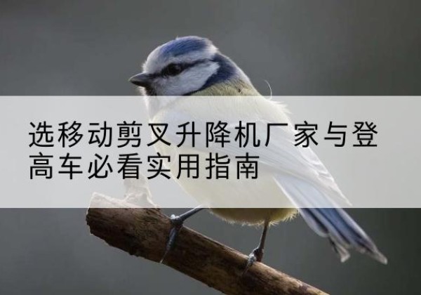 绥江电动升降机厂家-选移动剪叉升降机厂家与登高车必看实用指南